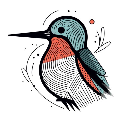 Hand drawn vector illustration of a woodpecker. Isolated objects