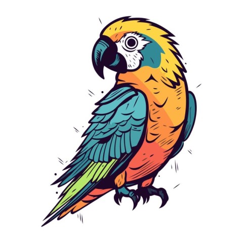 Colorful parrot on white background. Hand drawn vector illustrat