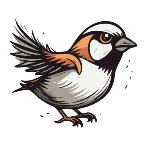 Illustration of a sparrow on a white background. vector illustra