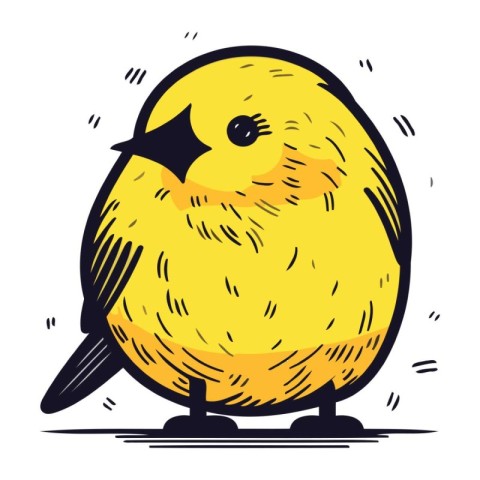 Vector illustration of a cute little yellow bird on a white back