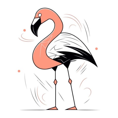 Flamingo bird. Vector illustration of a flamingo on a white back