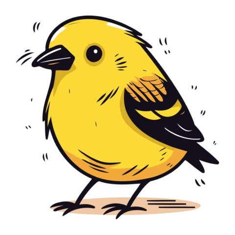 Vector illustration of a cute little yellow bird on a white back