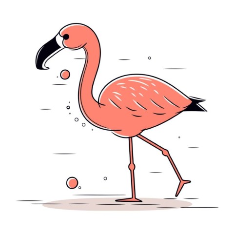 Flamingo. Vector illustration of a flamingo on white background.