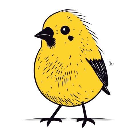 cute little yellow bird on white background. hand drawn vector i