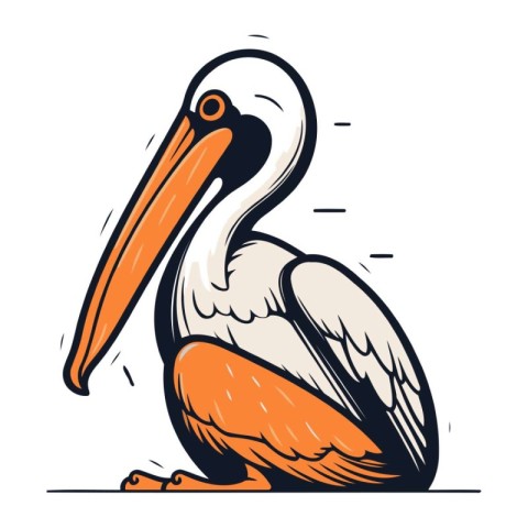 Pelican. Vector illustration of a pelican on a white background.