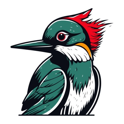 Vector image of a great crested woodpecker in cartoon style.