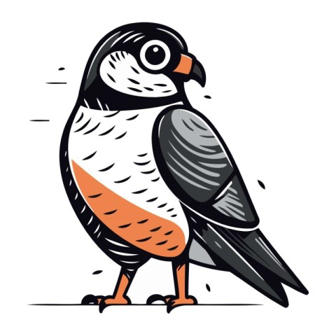 Sparrow bird isolated on a white background. Vector illustration