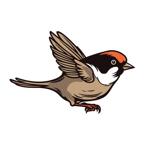 Vector image of a sparrow on a white background. Hand drawn styl