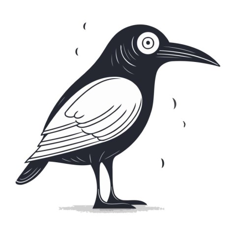 Crow. Vector illustration. Isolated on a white background.