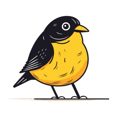 Vector illustration of a cute cartoon black and yellow bird. Iso