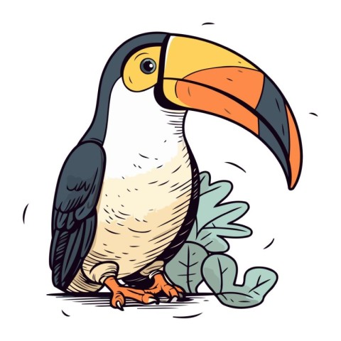 Toucan vector illustration. Hand drawn toucan vector illustratio