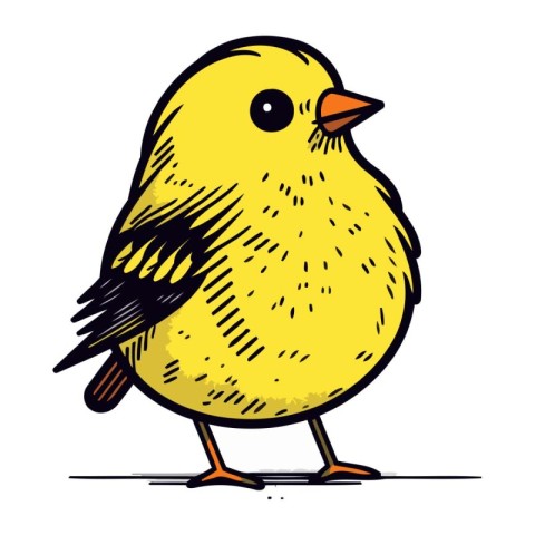 Illustration of a cute little yellow bird on a white background.