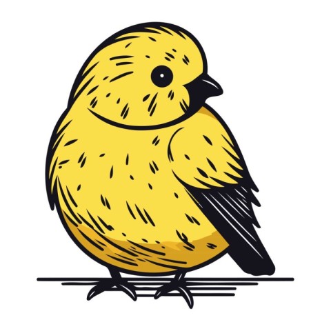 Cute little yellow bird. Vector illustration isolated on white b