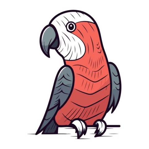 Parrot. Vector illustration. Isolated on a white background.