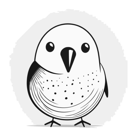 Cute cartoon black and white bird. Vector illustration isolated