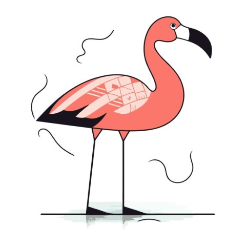 Flamingo. Vector illustration of a flamingo on a white backgroun