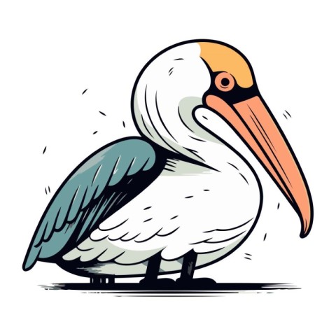 Illustration of a pelican on a white background. Vector illustra