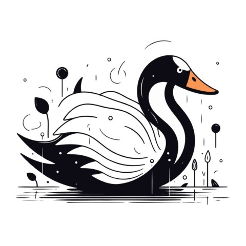 Black swan on a lake. Vector illustration isolated on white back