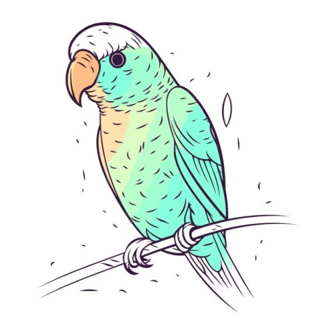 Parrot on a branch. Hand drawn sketch. Vector illustration.