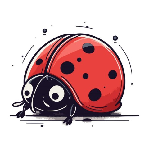 Ladybug vector illustration. Isolated ladybug on white backgroun