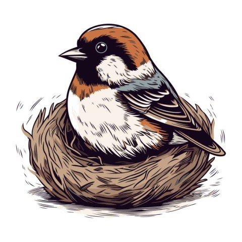 Sparrow sitting in the nest. Vector illustration of a bird.