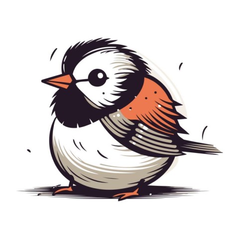 Sparrow bird on white background. Vector illustration of a bird.