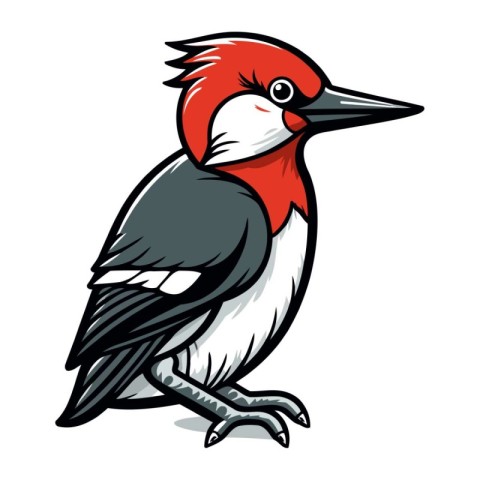 Vector illustration of a woodpecker isolated on a white backgrou