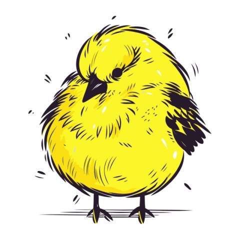 Vector illustration of a cute little yellow bird isolated on whi