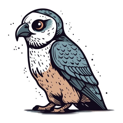 Illustration of an owl. Vector illustration on a white backgroun