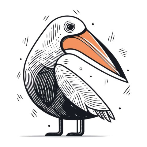 Pelican bird vector illustration. Hand drawn doodle style.