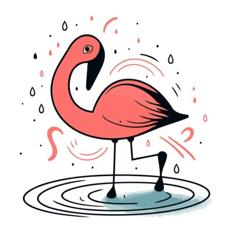 Flamingo in water. Vector illustration of a flamingo.