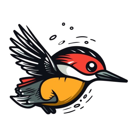 Vector image of a great spotted woodpecker bird on white backgro