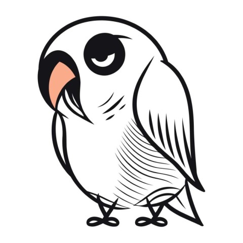 Vector illustration of a black and white owl isolated on white b