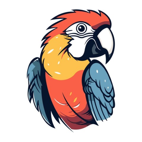 Colorful macaw parrot isolated on white background. Vector illus