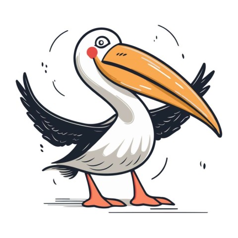 Pelican vector illustration. Cartoon pelican isolated on white b