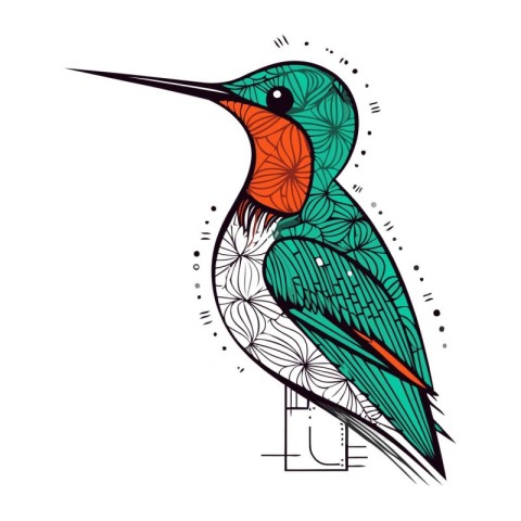 Hand drawn vector illustration of colorful hummingbird. Isolated