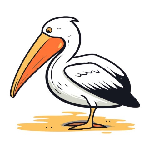 Pelican vector illustration. Cartoon pelican isolated on white b