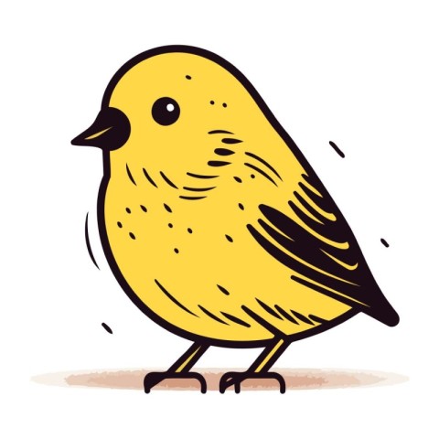 Cute little yellow bird on white background. Hand drawn vector i