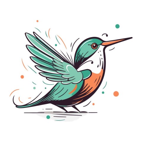 Hand drawn vector illustration of a hummingbird. Isolated object