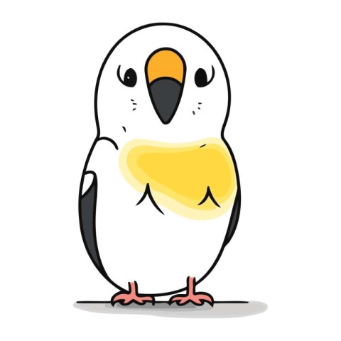 Illustration of a cute parrot on a white background. Vector illu