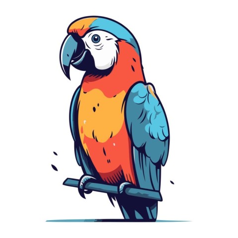 Parrot. Vector illustration of a parrot on a white background.