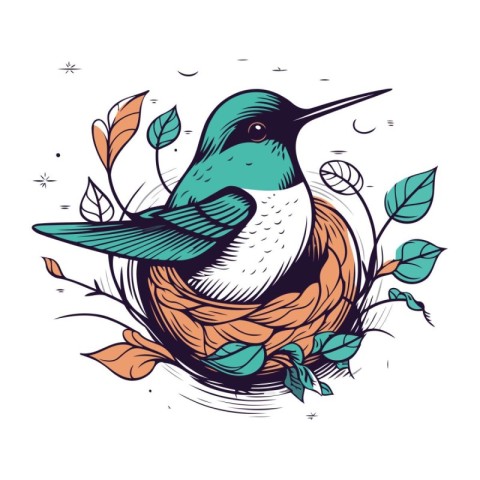 Hand drawn vector illustration of a hummingbird sitting in a nes