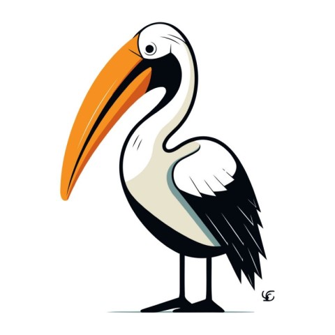 Pelican bird isolated on a white background. Vector illustration