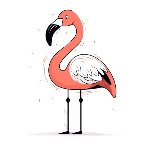 Flamingo. Vector illustration. Hand drawn. Isolated on white bac