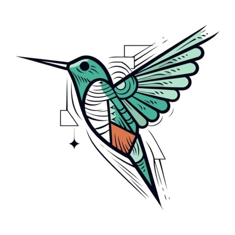 Hummingbird. Vector illustration isolated on white background. E