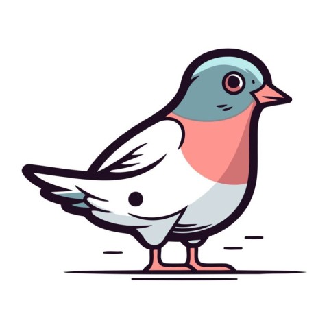 Pigeon vector illustration. Cute cartoon bird isolated on white