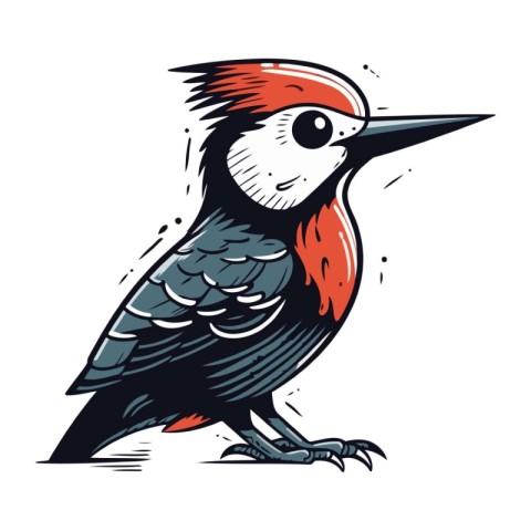 Woodpecker vector illustration. Hand drawn bird isolated on whit