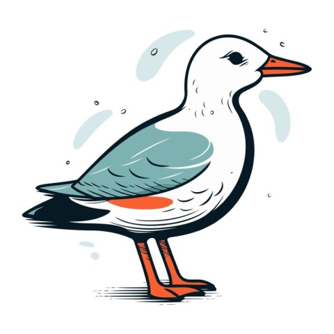 Vector illustration of a seagull on a white background. Hand dra