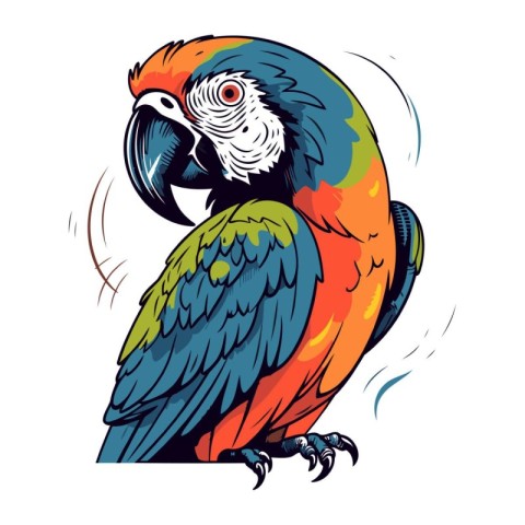 Colorful macaw parrot vector illustration isolated on white back