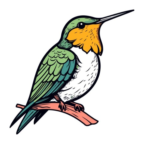 Hummingbird sitting on a branch. Vector illustration of a bird.